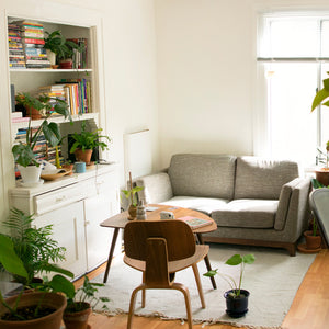 10 House Plants to Brighten Up Your Home this Winter